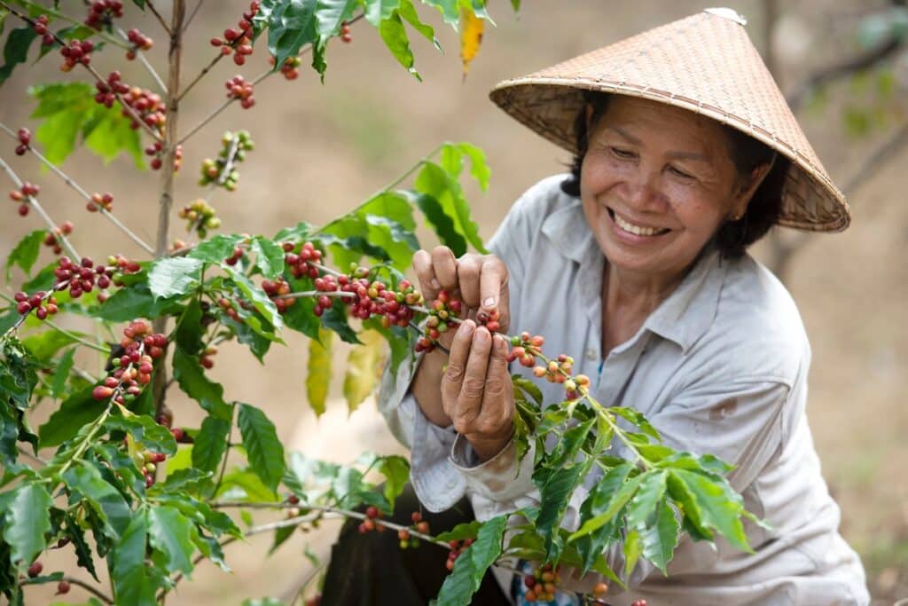 Vietnam : le boss asiatique du café