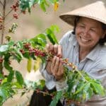 Vietnam : le boss asiatique du café