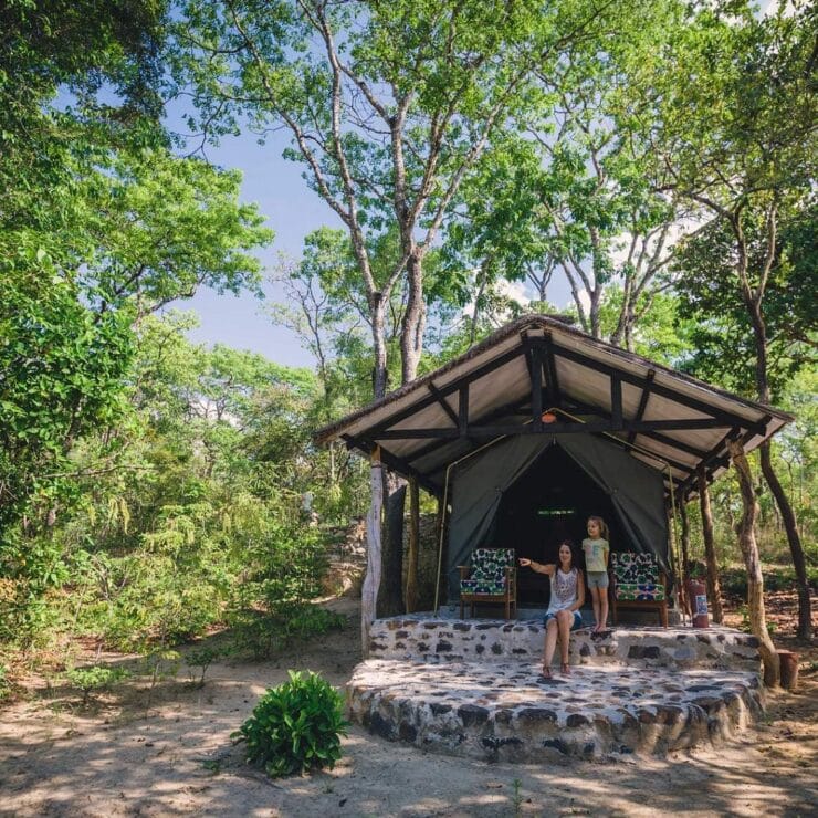 foret lodge zambie