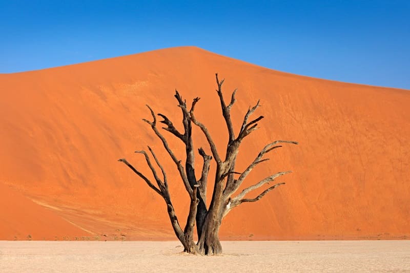 visite de Deadvlei