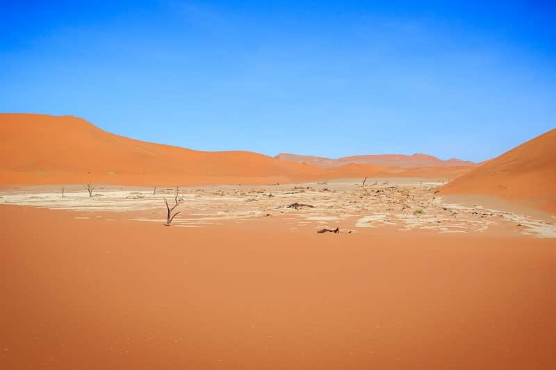 Deadvlei désert
