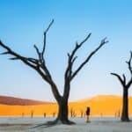 Deadvlei