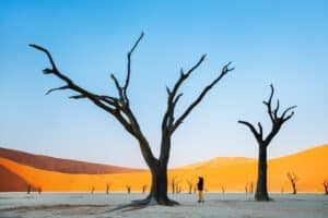 Deadvlei