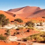 visiter Sossusvlei