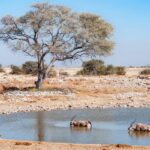 Parc national d'Etosha