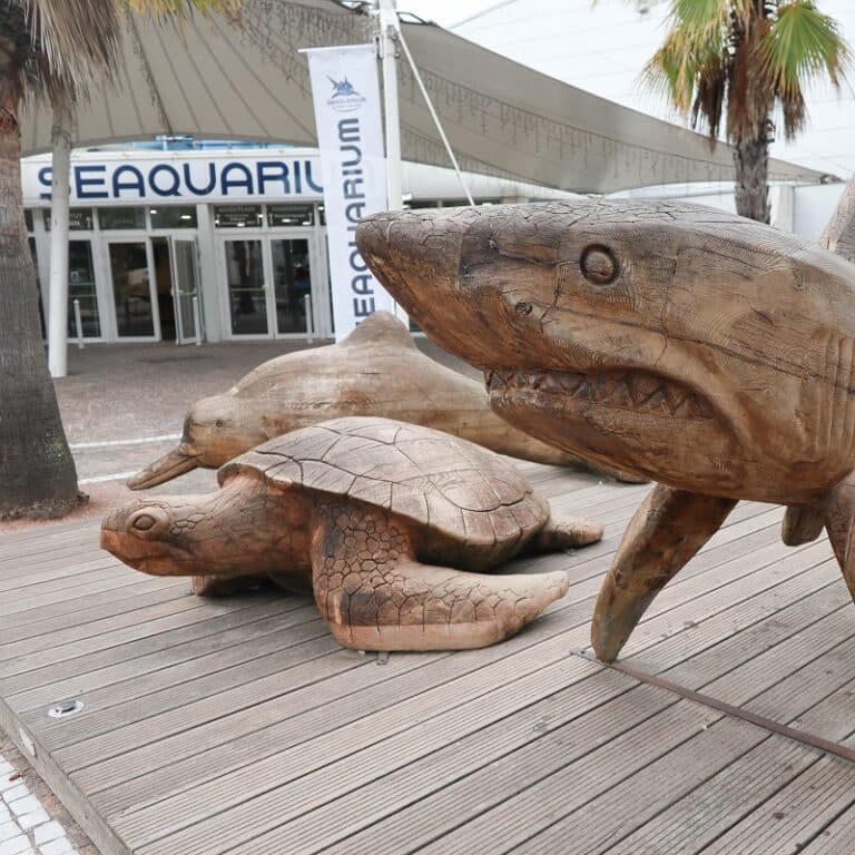 Visiter Le GrauduRoi 8 choses incontournables