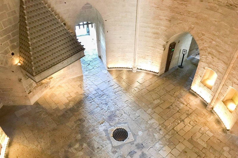 visiter aigues mortes et ses environs