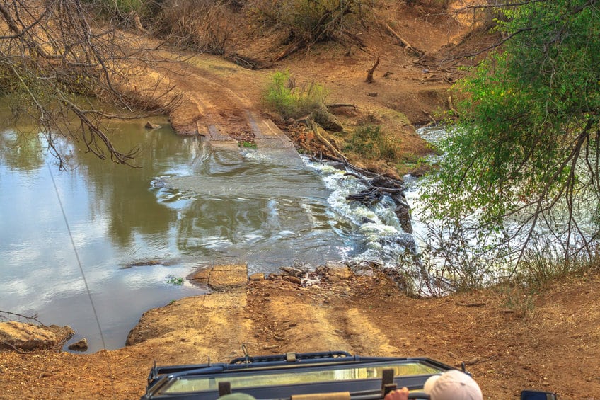 safari réserve madikwe