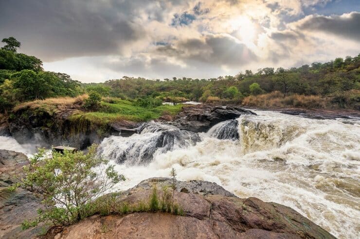 parc national Murchison Falls
