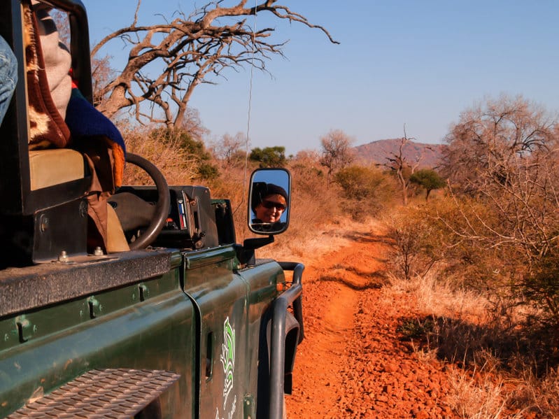 safari réserve madikwe