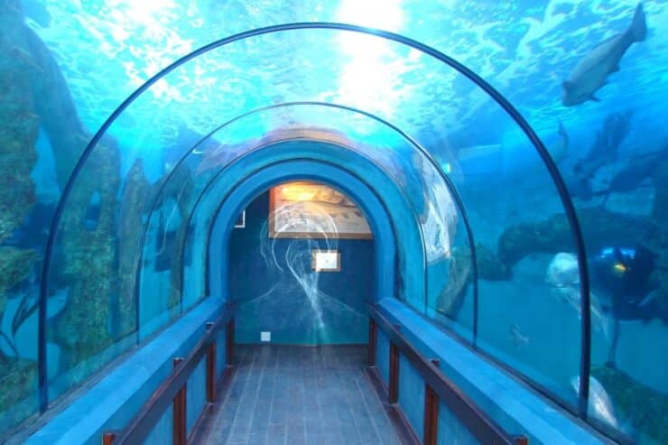 aquarium swakopmund