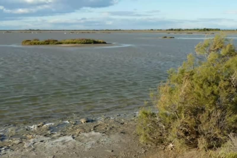 etang de vaccares