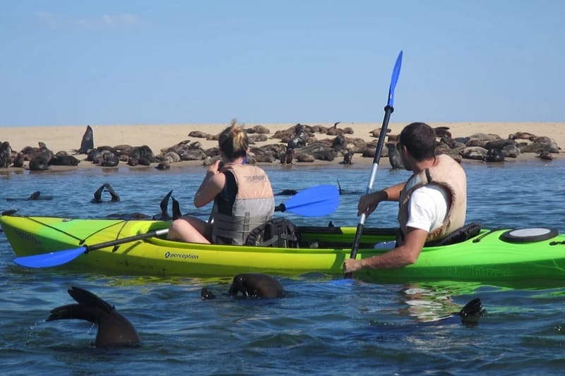 kayak walvis bay