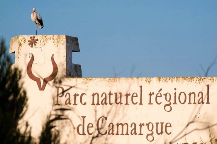parc naturel de camargue