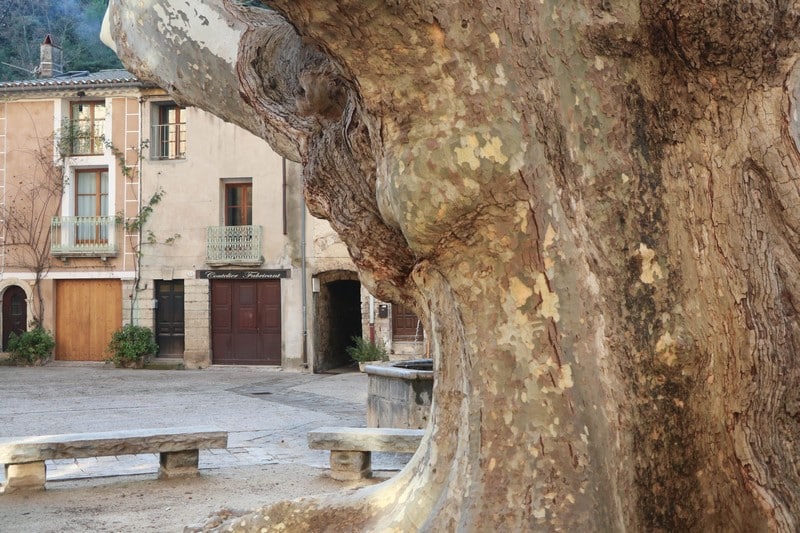 saint guilhem le désert place de la liberté
