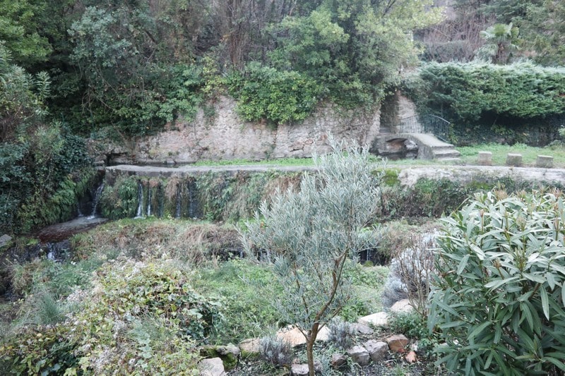 nature