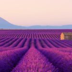 voyage provence