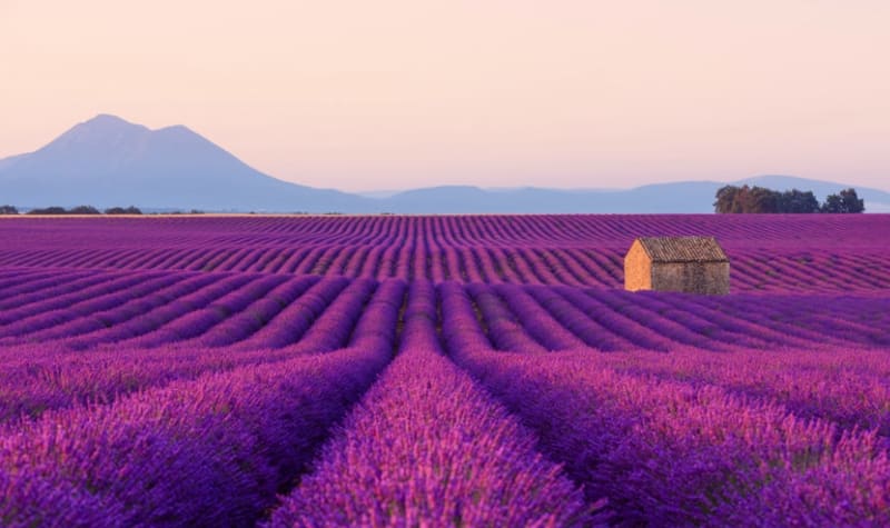 voyage provence