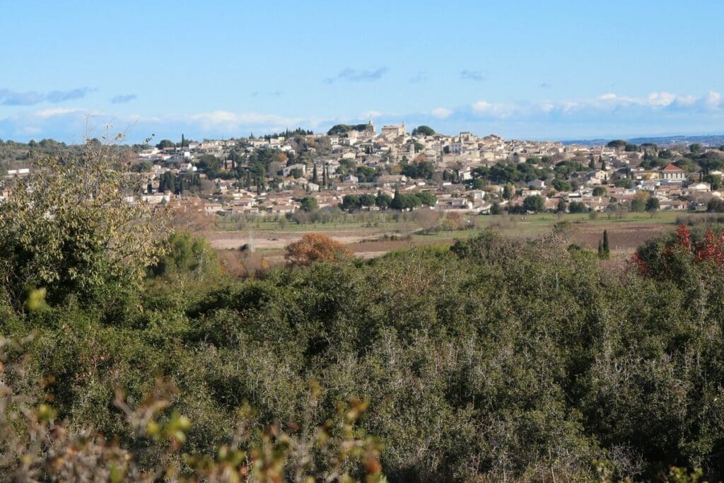 que faire à lunel