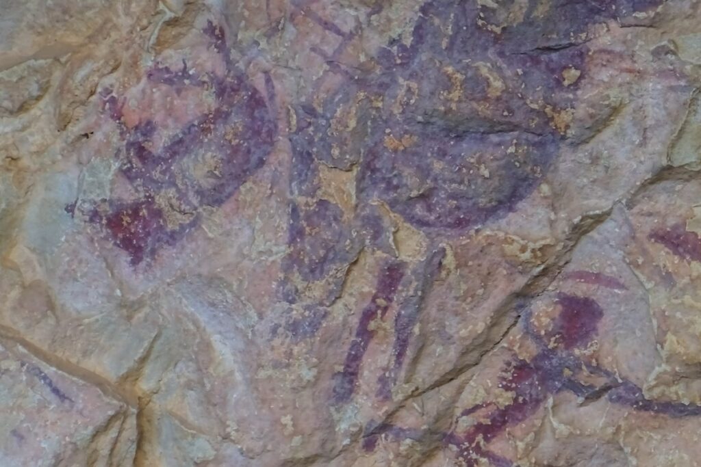 peinture rupestre cova remigia