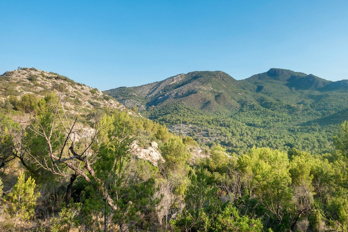 désert de las palmas