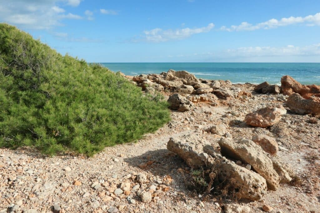 sierra de irta