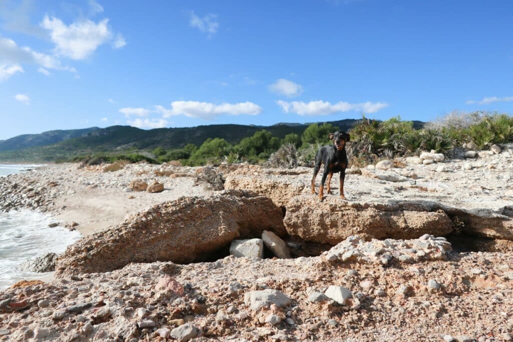 côte de la sierra d'irta