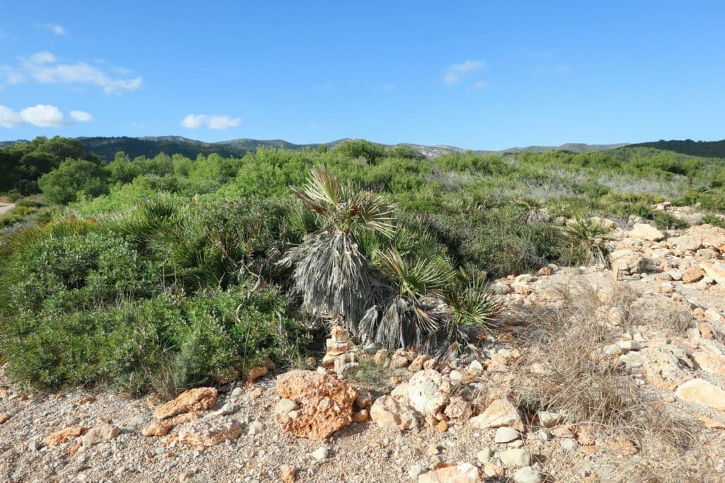 parc naturel de la sierra d'irta