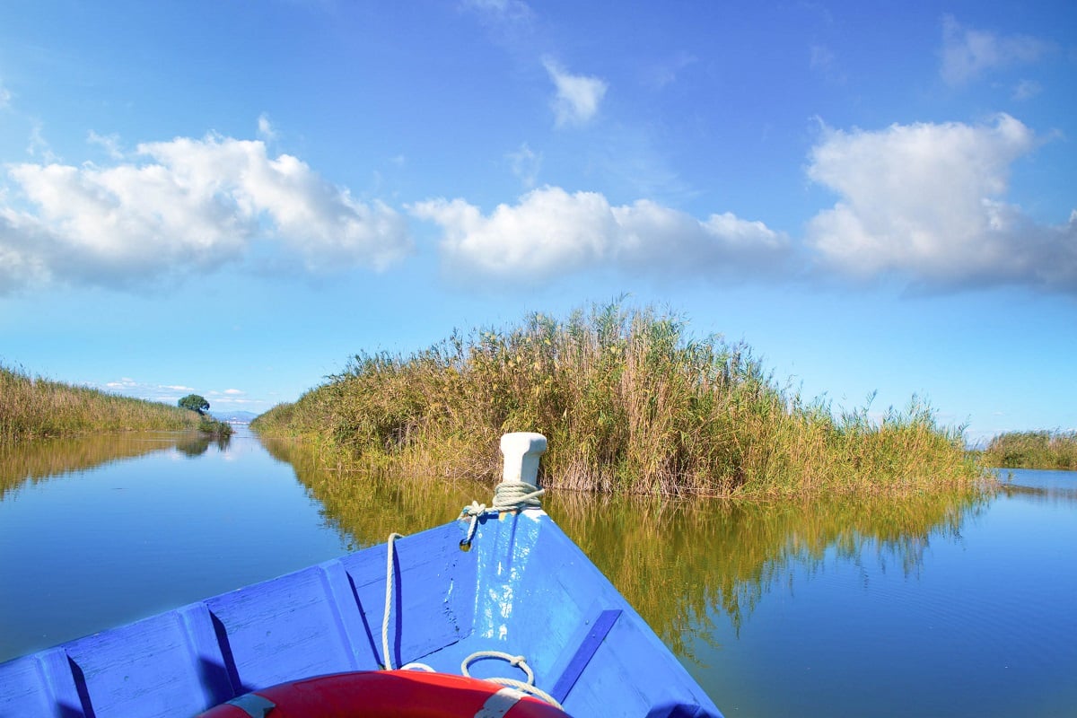 bateau albufera de valence