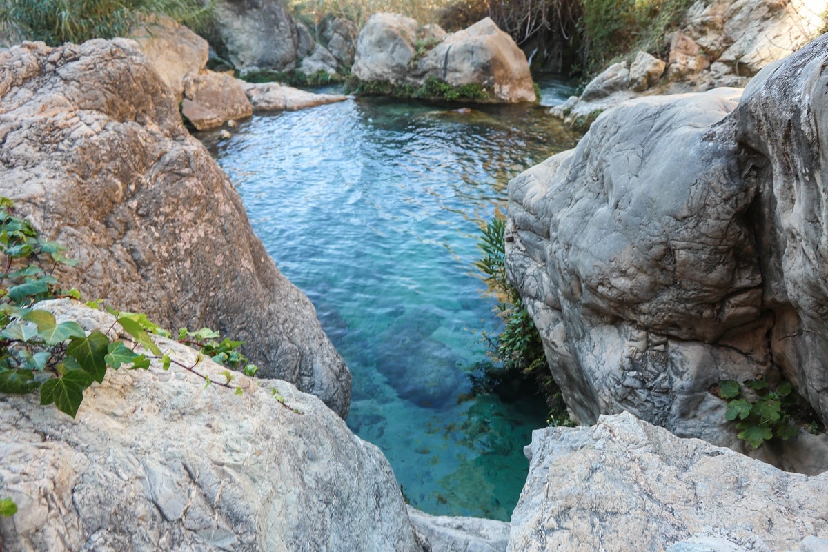 piscine naturelle