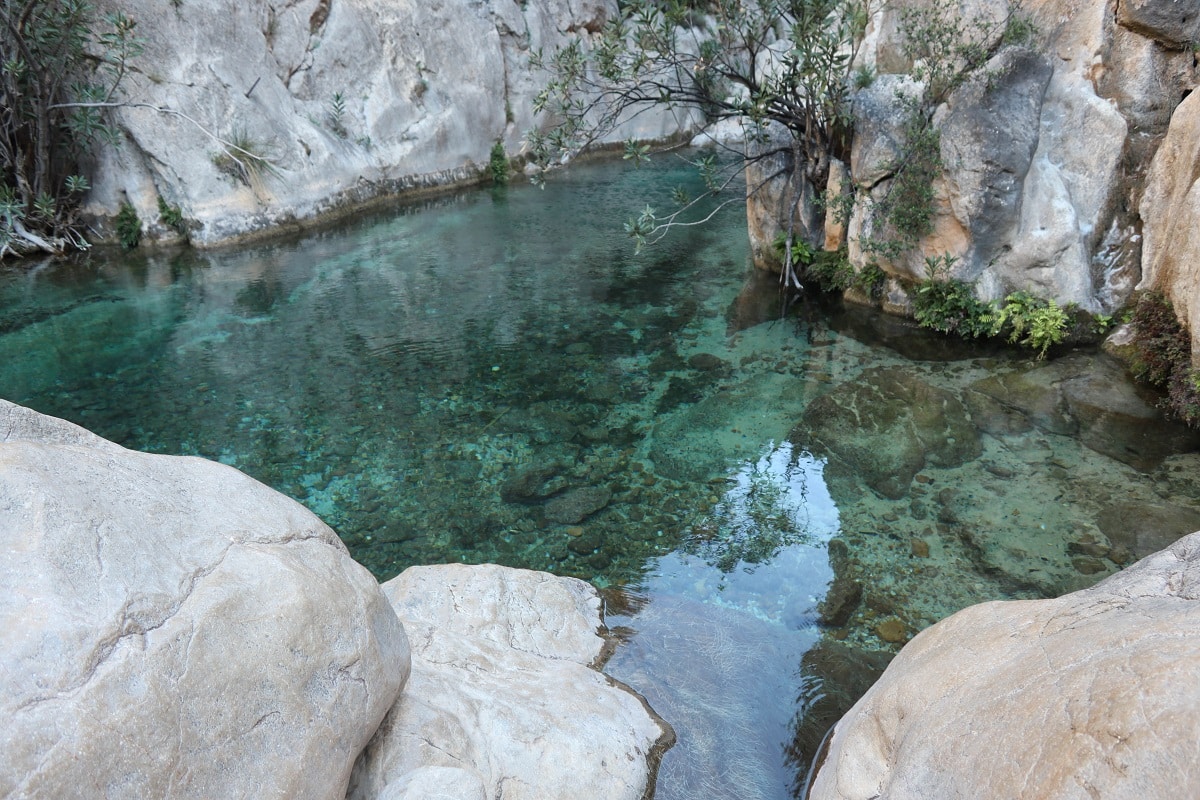 piscine naturelle