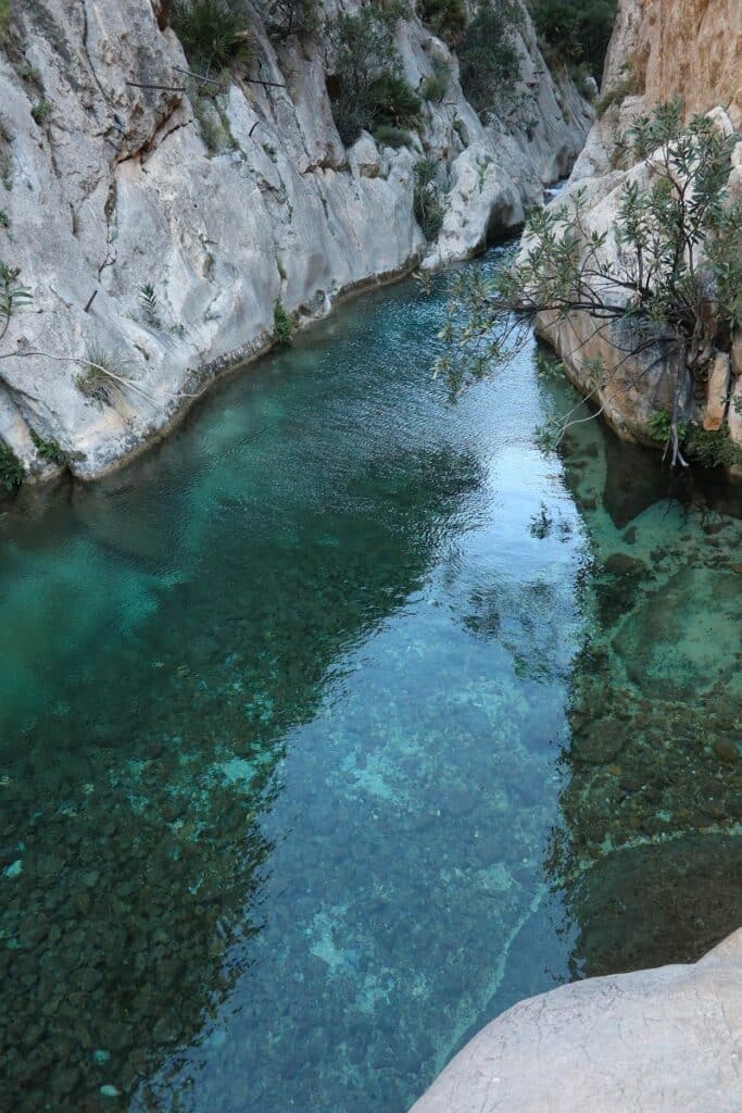 piscine naturelle