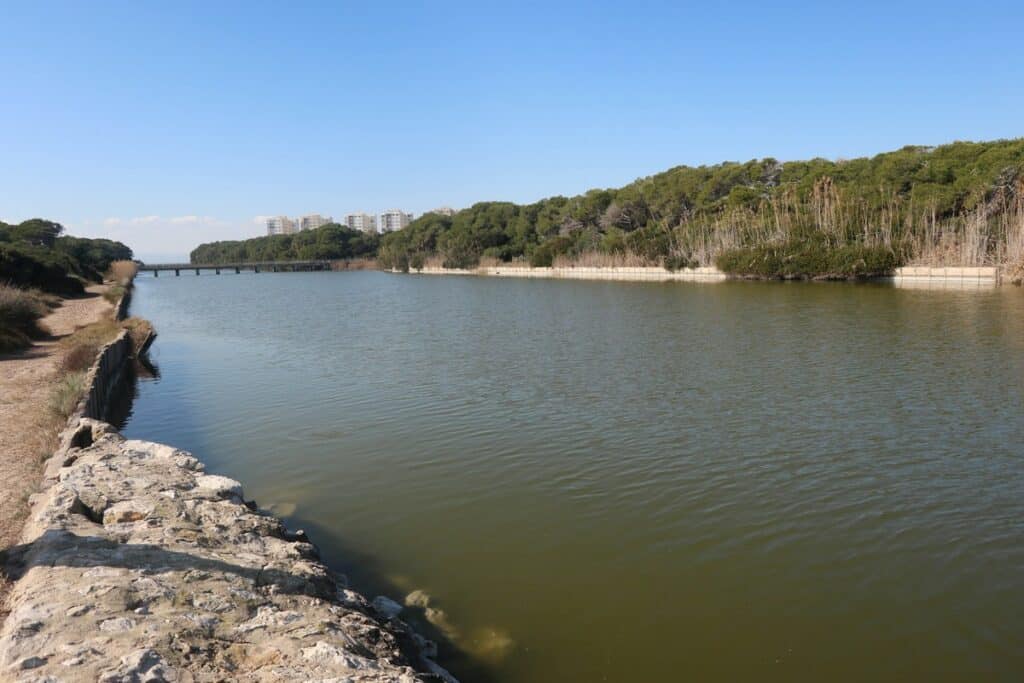 parc naturel albufera de valence