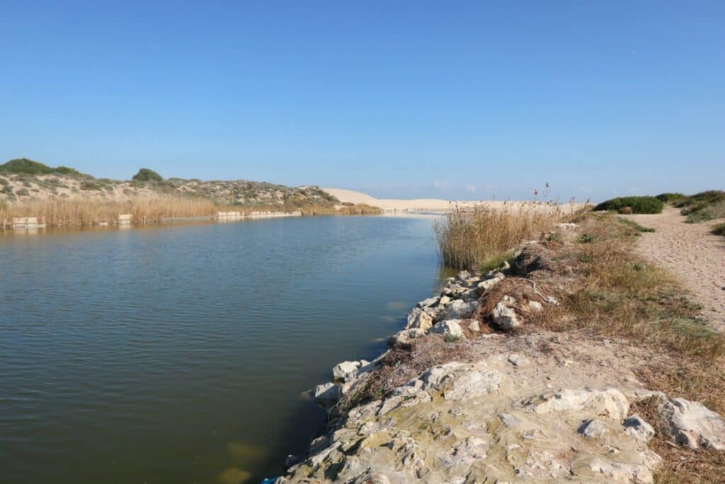 albufera de valence