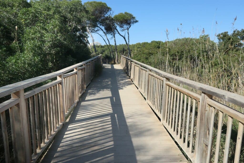 pont en bois