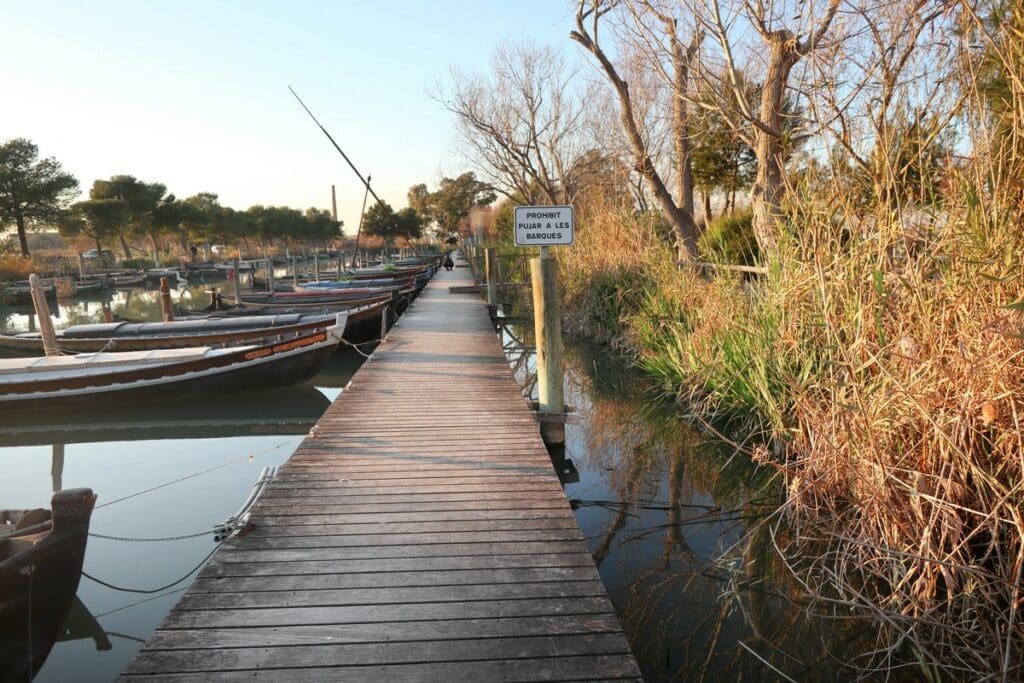 Puerto de Catarroja