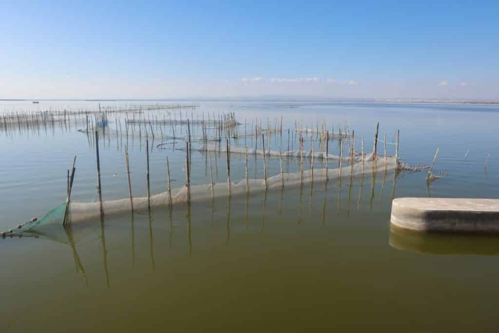 l'albufera de valence