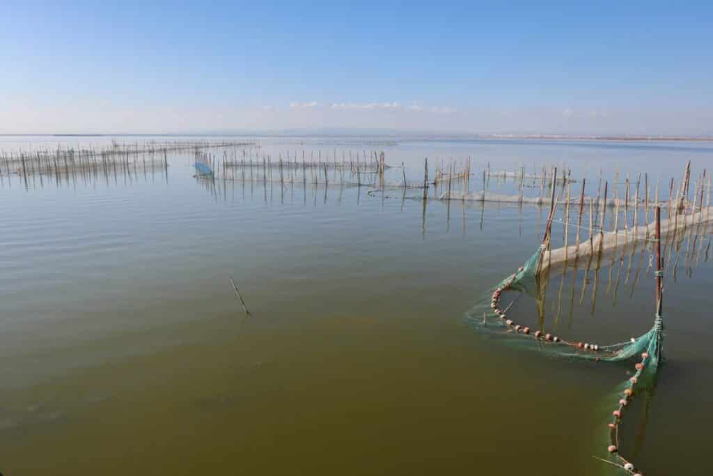 lac albufera valence