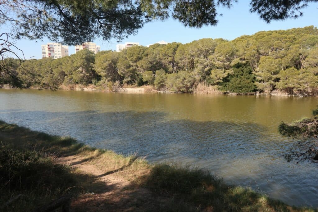 albufera de valence