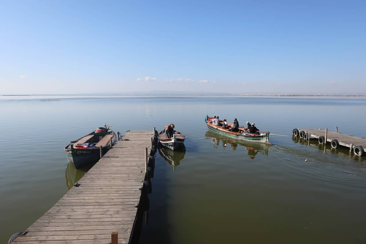 albufera valence