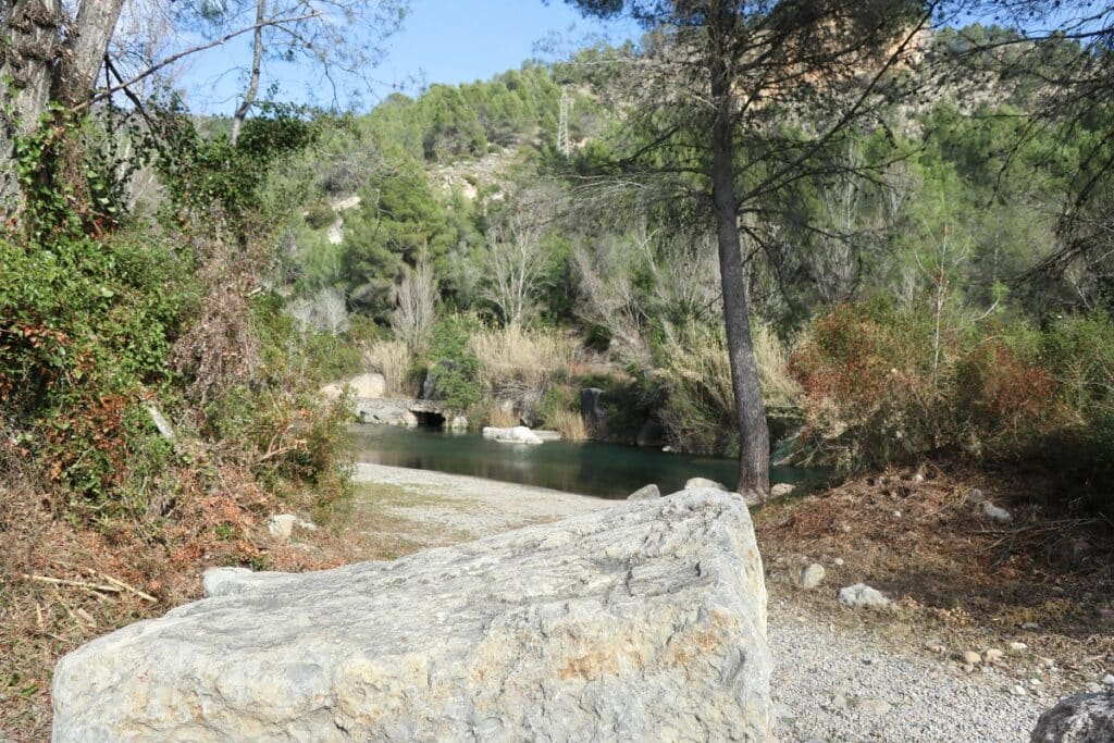 piscine naturelle aranuel