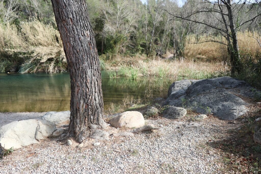 piscine naturelle aranuel