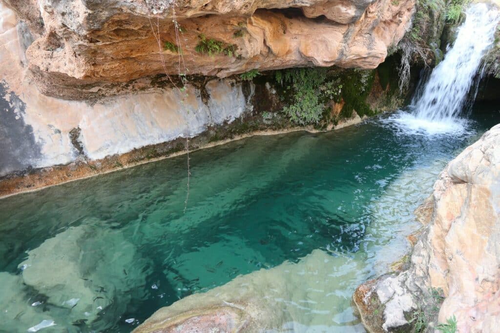 bolbaite piscine naturelle