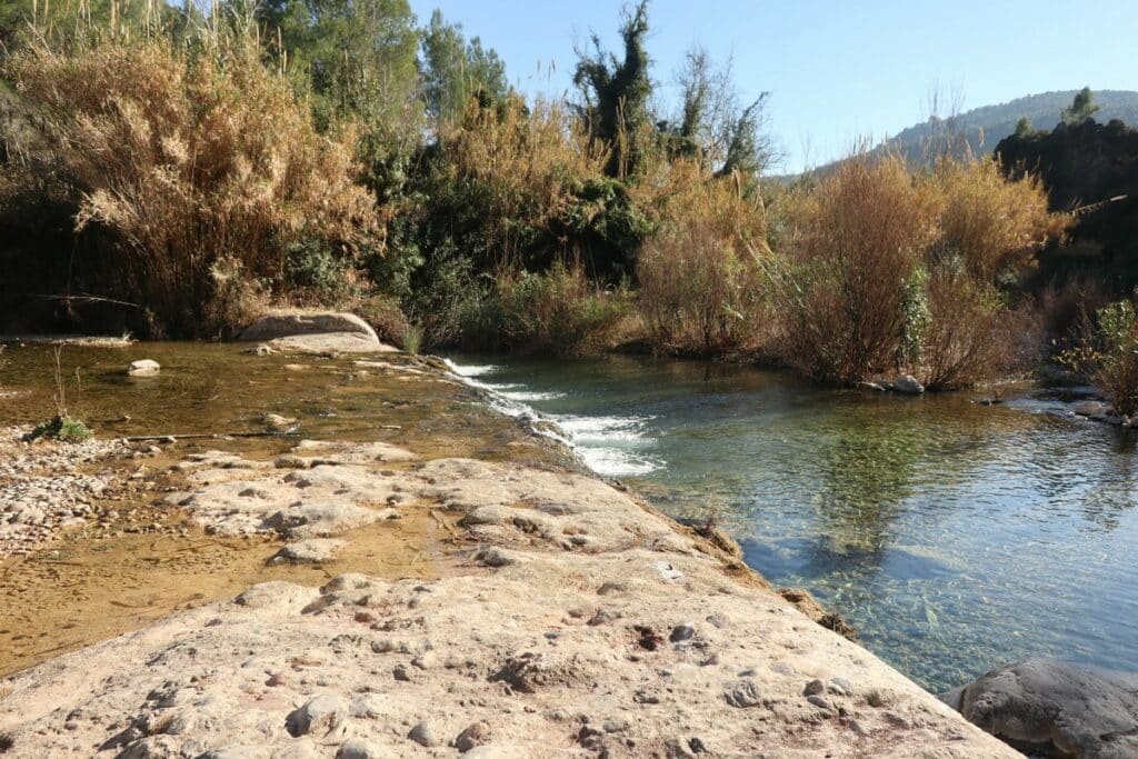 piscine naturelle vallat