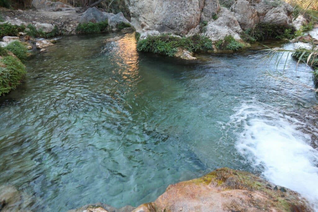 piscine naturelle fonts de l'algar