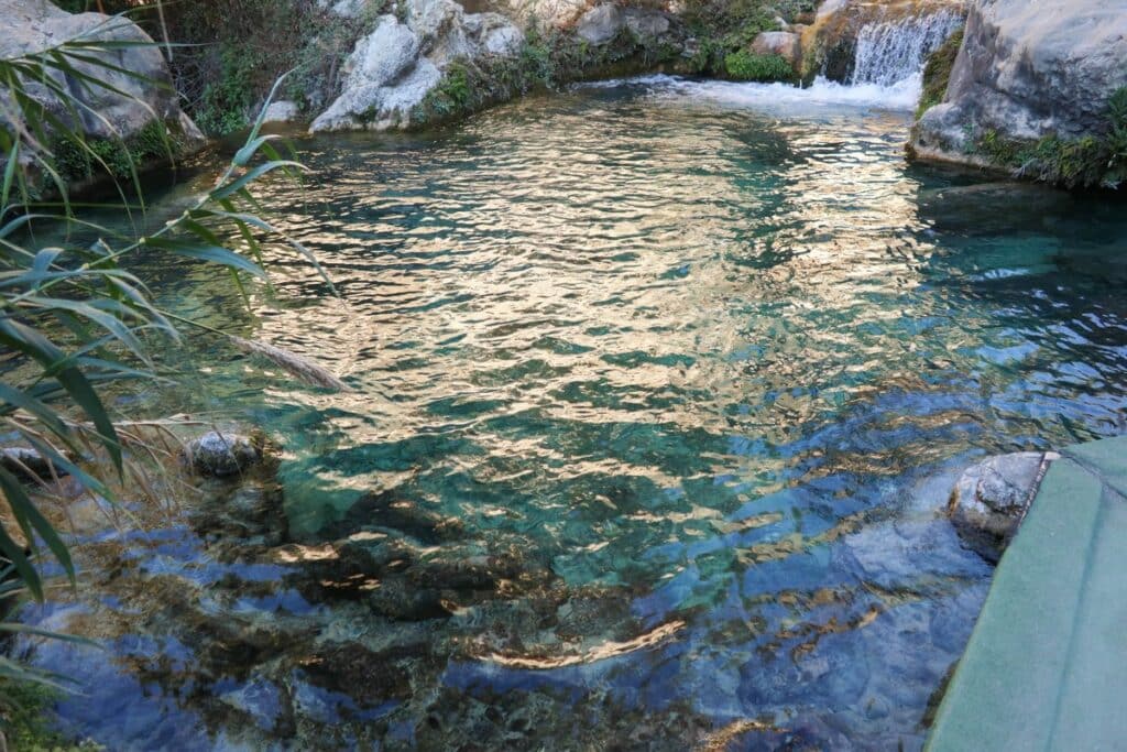 piscine naturelle