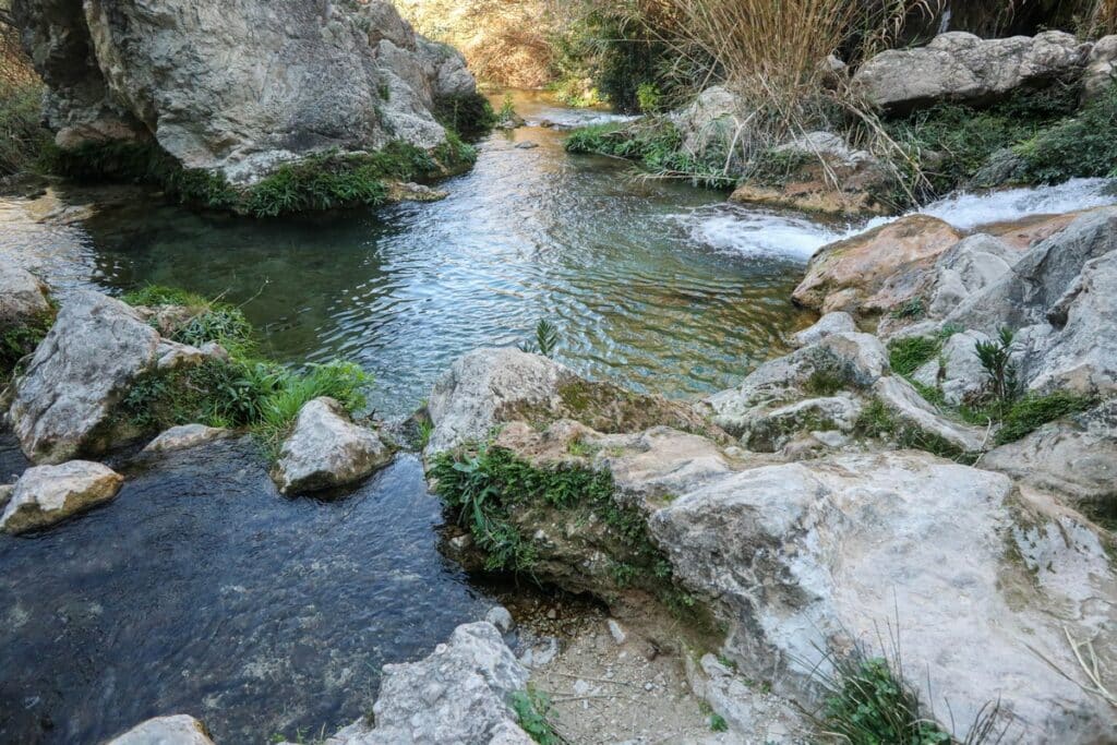 piscine naturelle fonts de l'algar