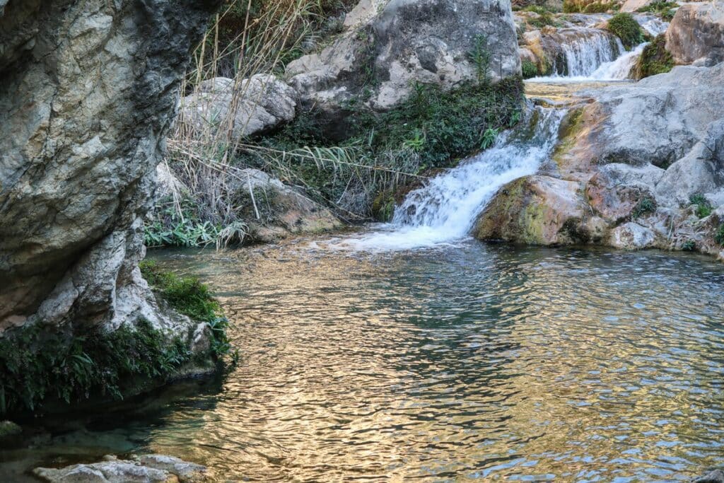 piscine naturelle fonts de l'algar