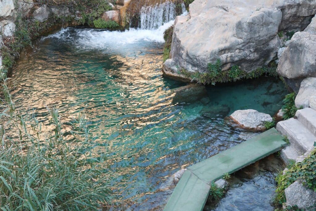 piscine naturelle