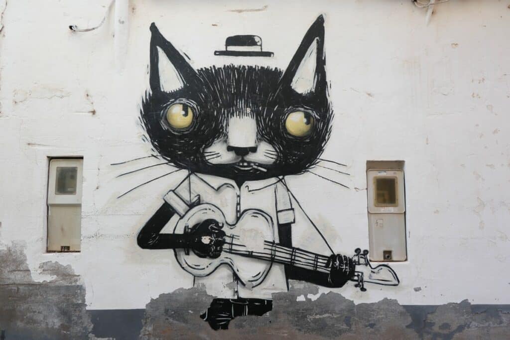 chat graffiti fanzara